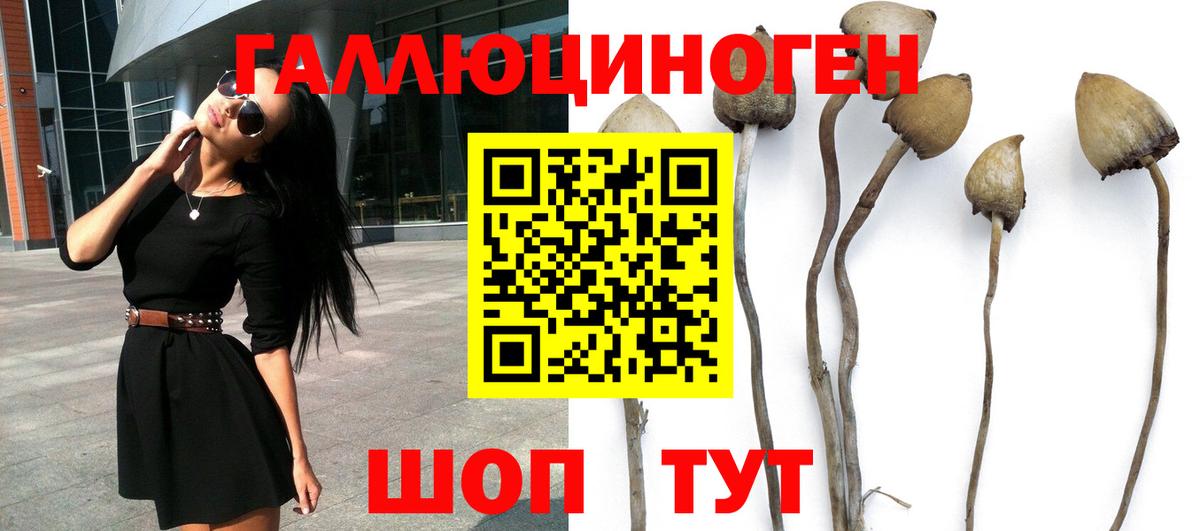 Галлюциногенные грибы MAGIC MUSHROOMS  Вход с VPN  купить наркоту  Топки 